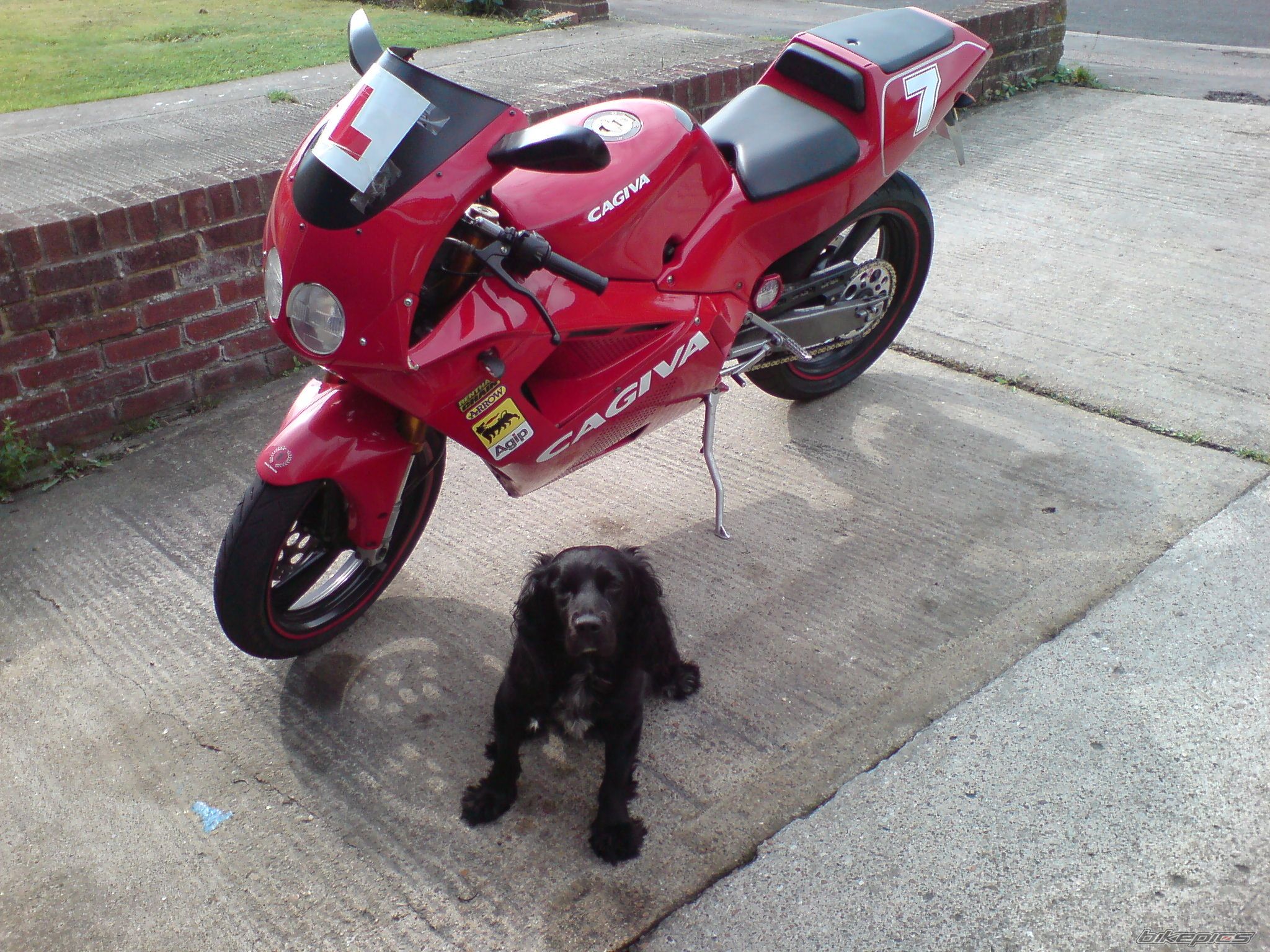 Bike Photo 677058