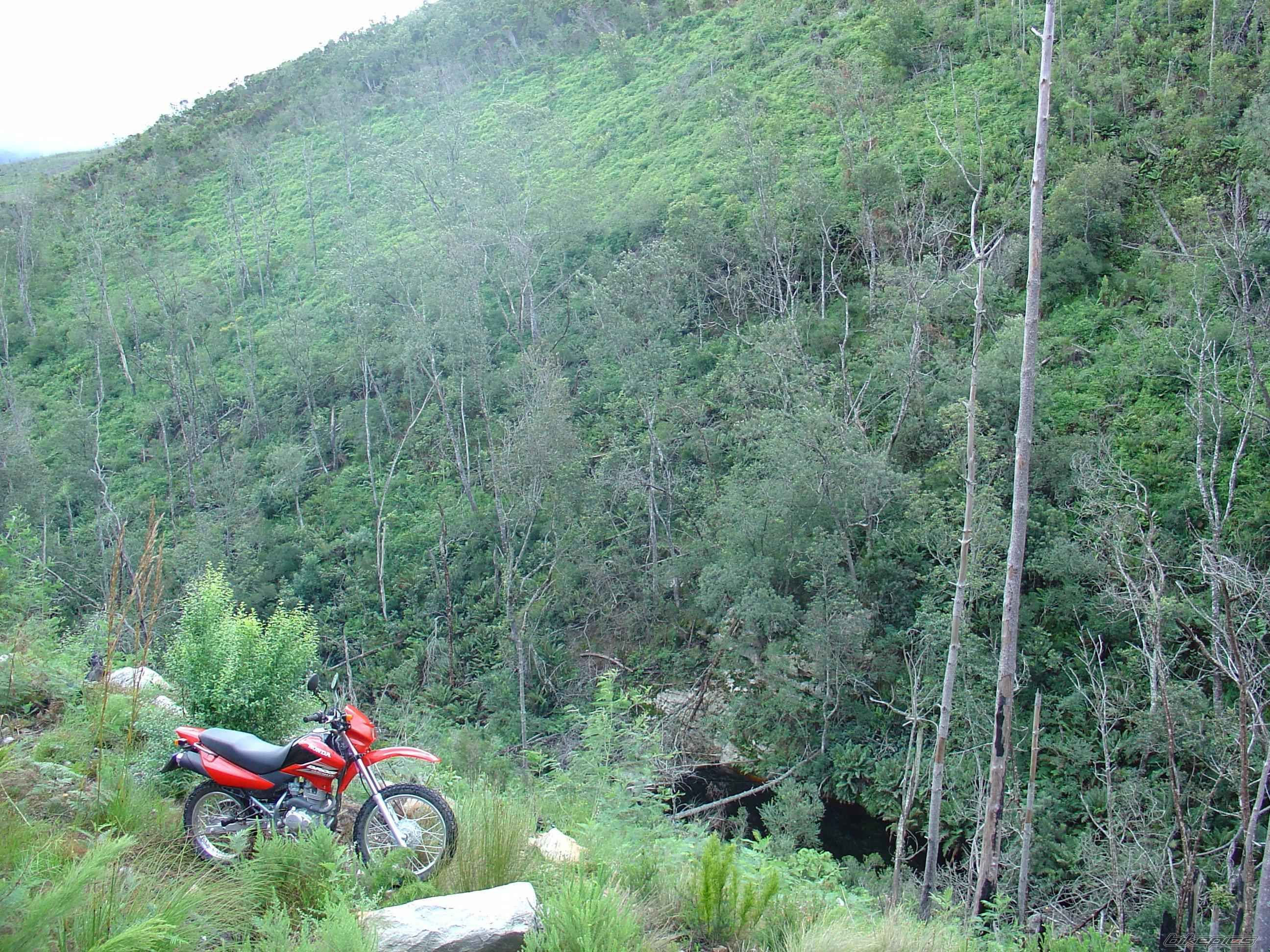 Photo 677845