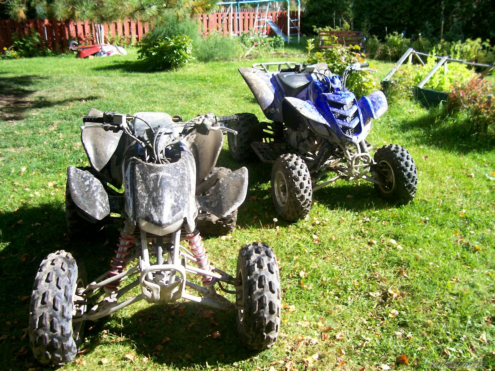 Bike Photo 677929