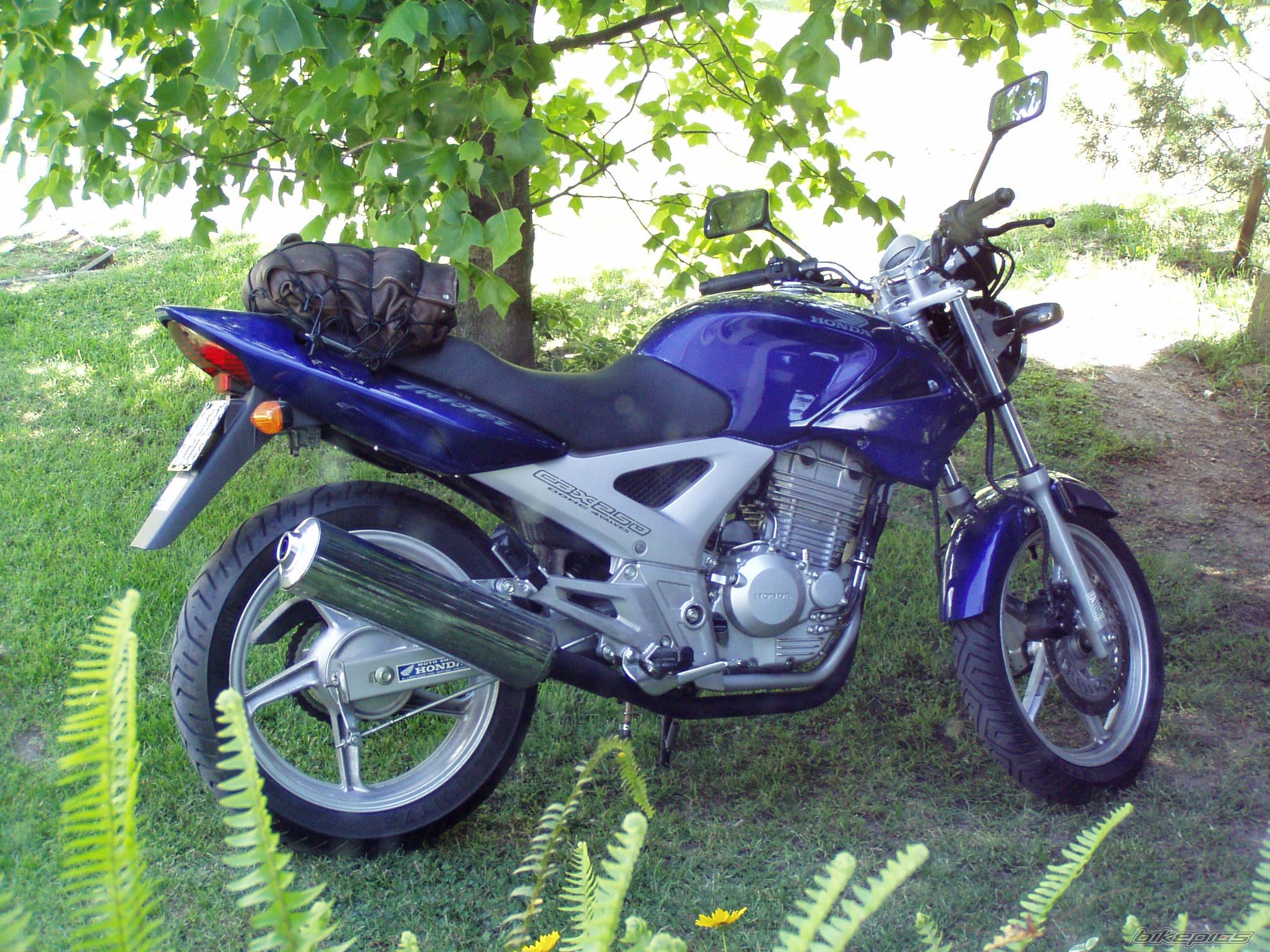 Photo 678321