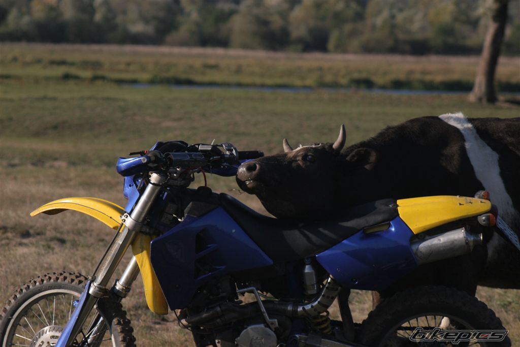 Bike Photo 678739