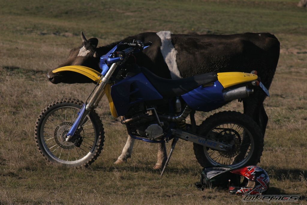 Bike Photo 678742
