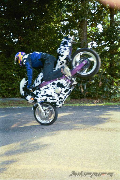 Bike Photo 67876