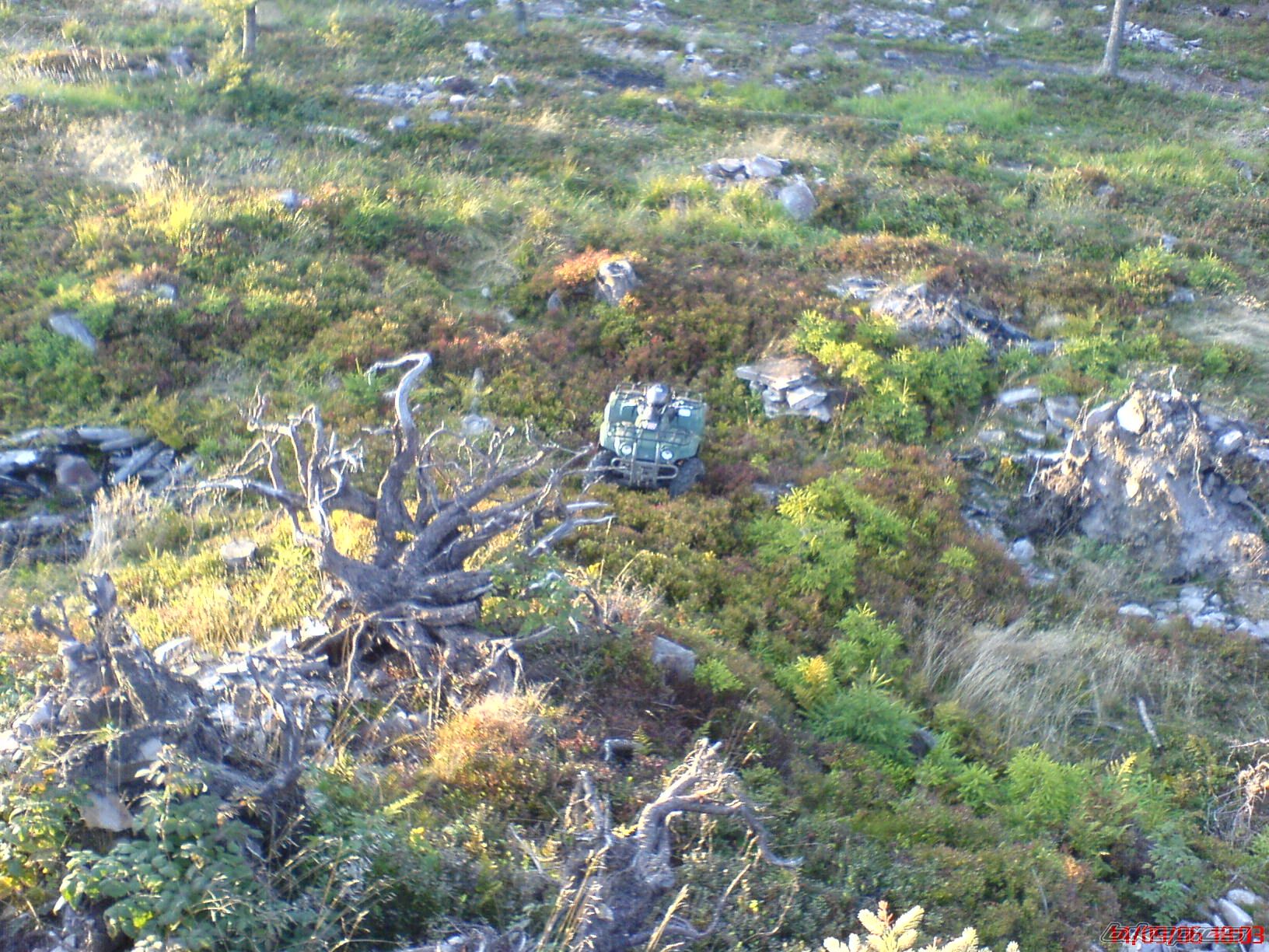 Photo 678823
