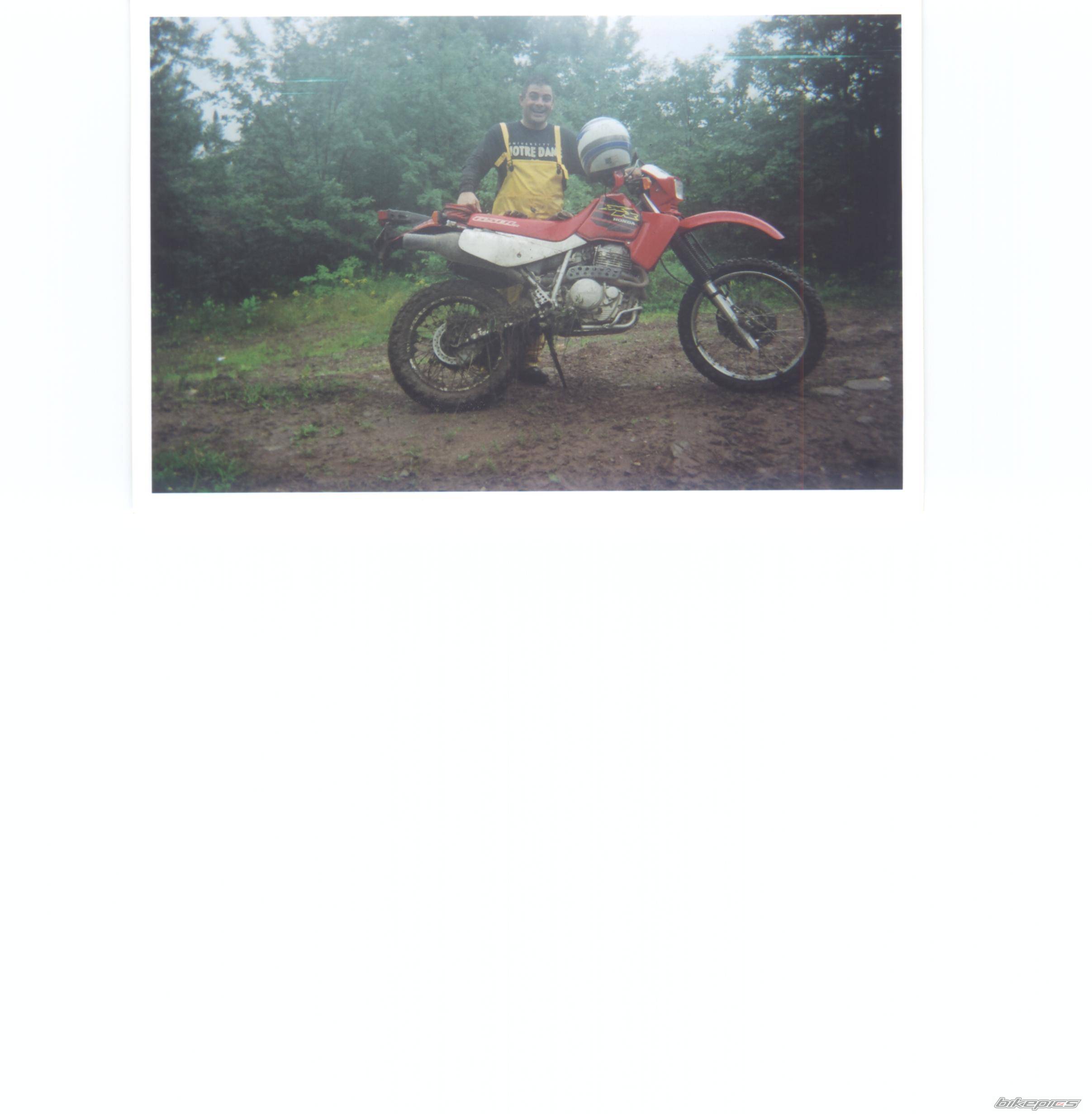 Photo 67946