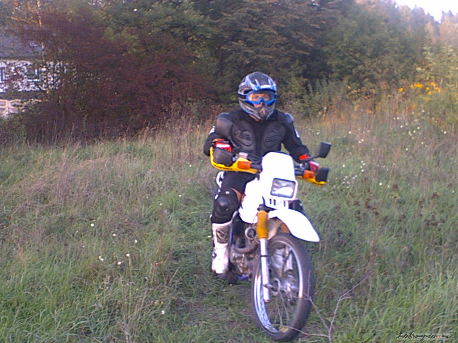 Photo 679560