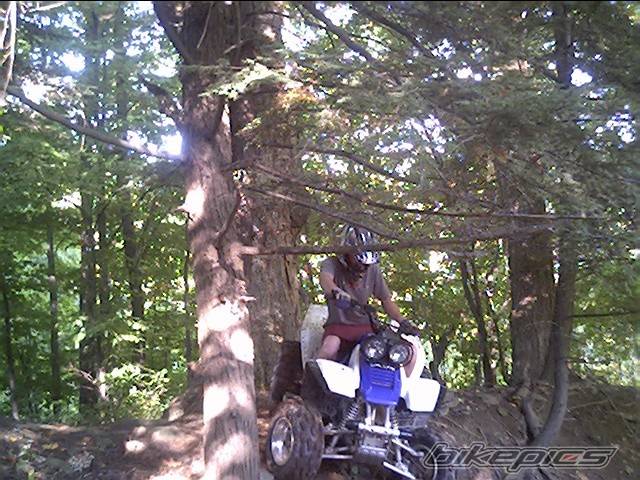 Bike Photo 67977