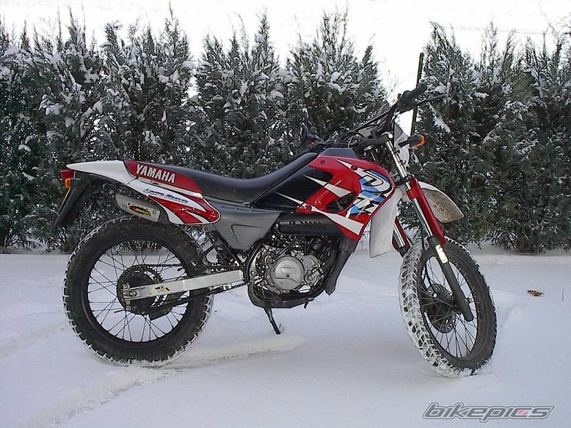 Bike Photo 679973