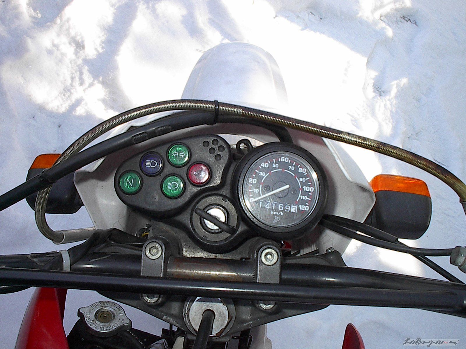 Photo 679979