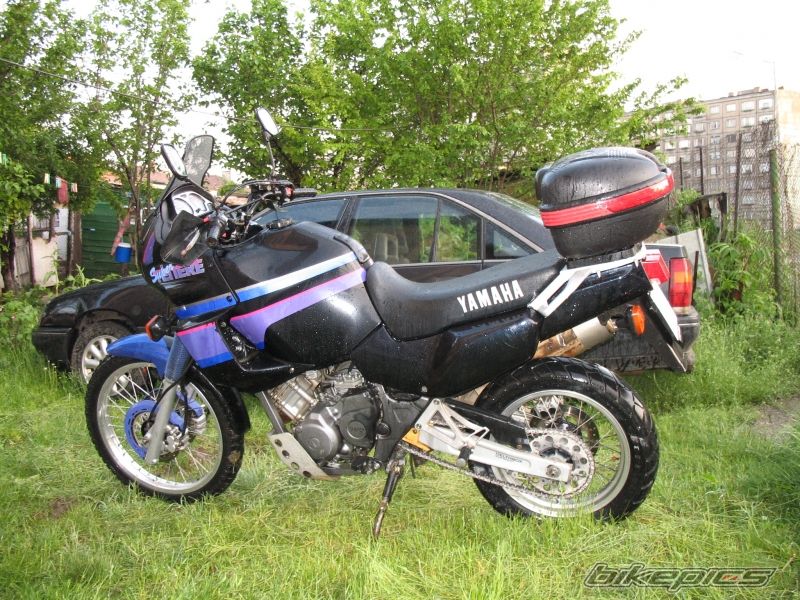 Photo 680083