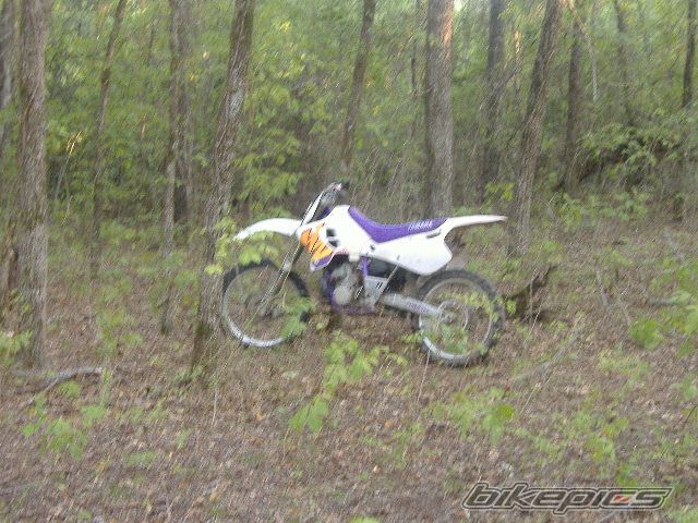 Photo 680555