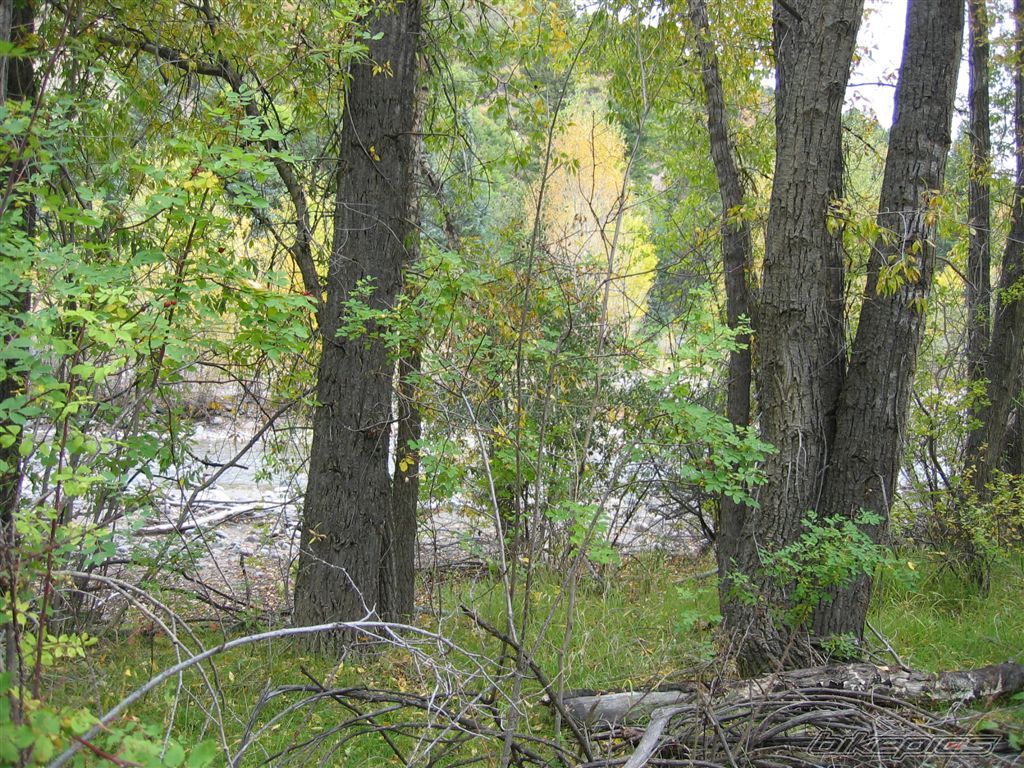 Photo 681317