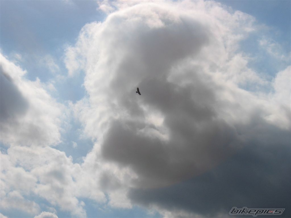 Photo 681348