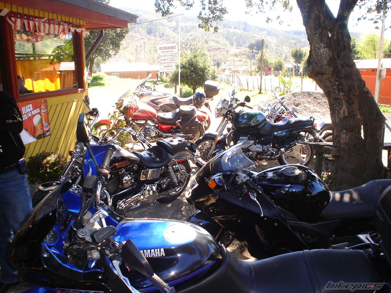 Bike Photo 681516