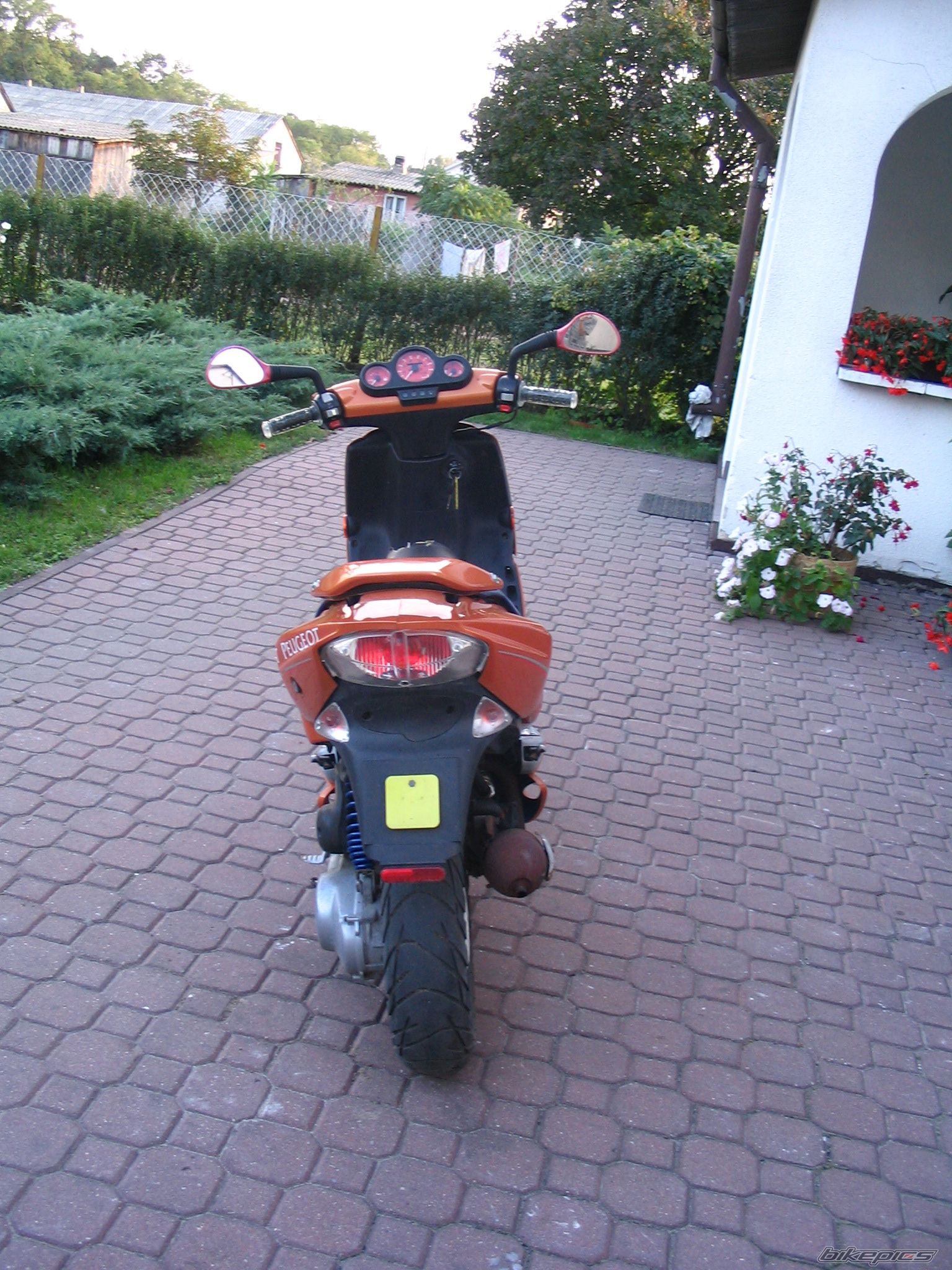 Photo 681919