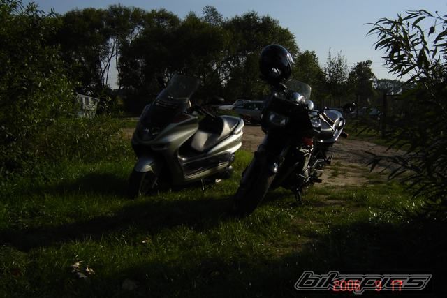 Photo 682406