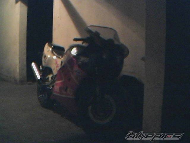 Photo 6829