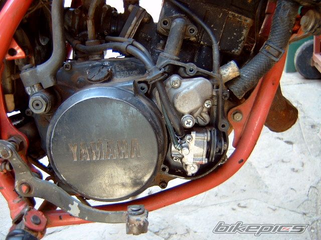 Bike Photo 683561