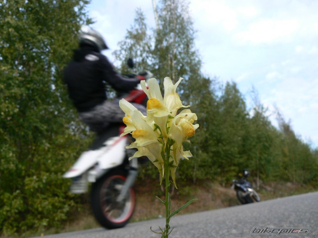 Photo 683632
