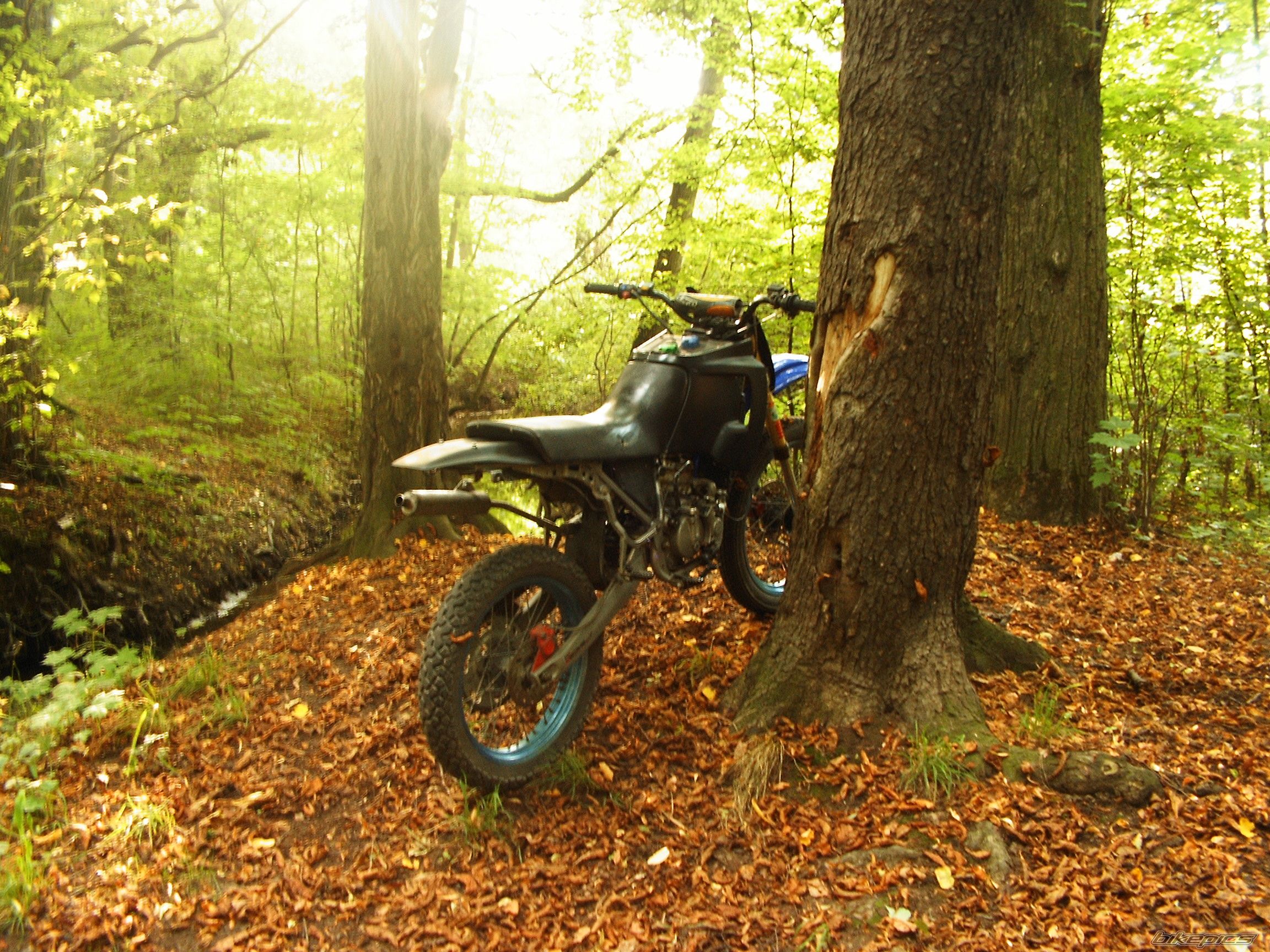 Bike Photo 683832