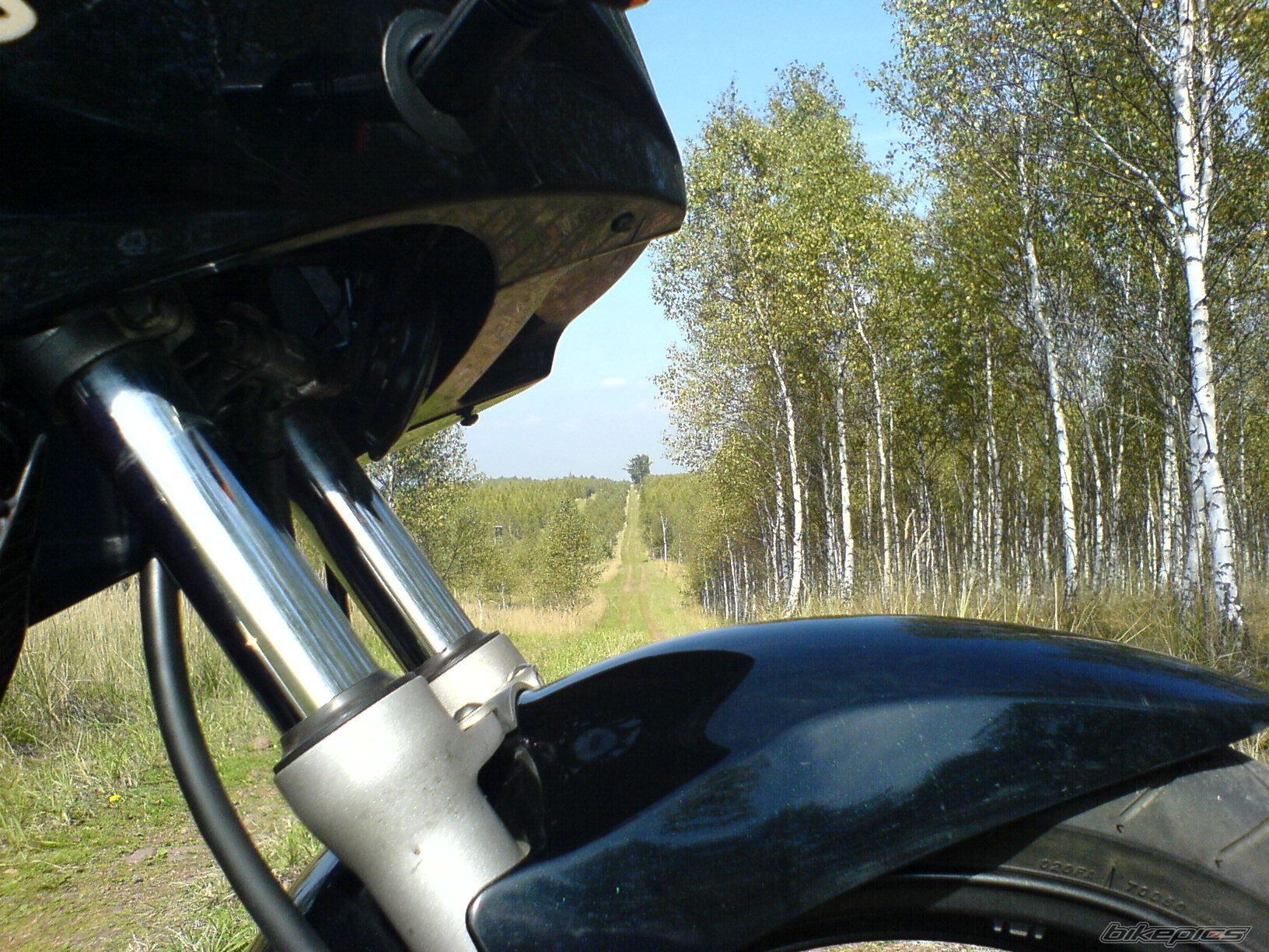 Photo 684438