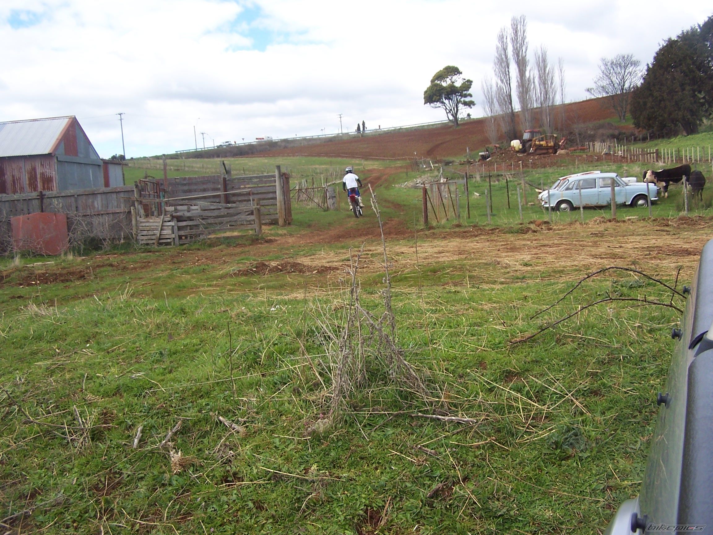 Photo 684682