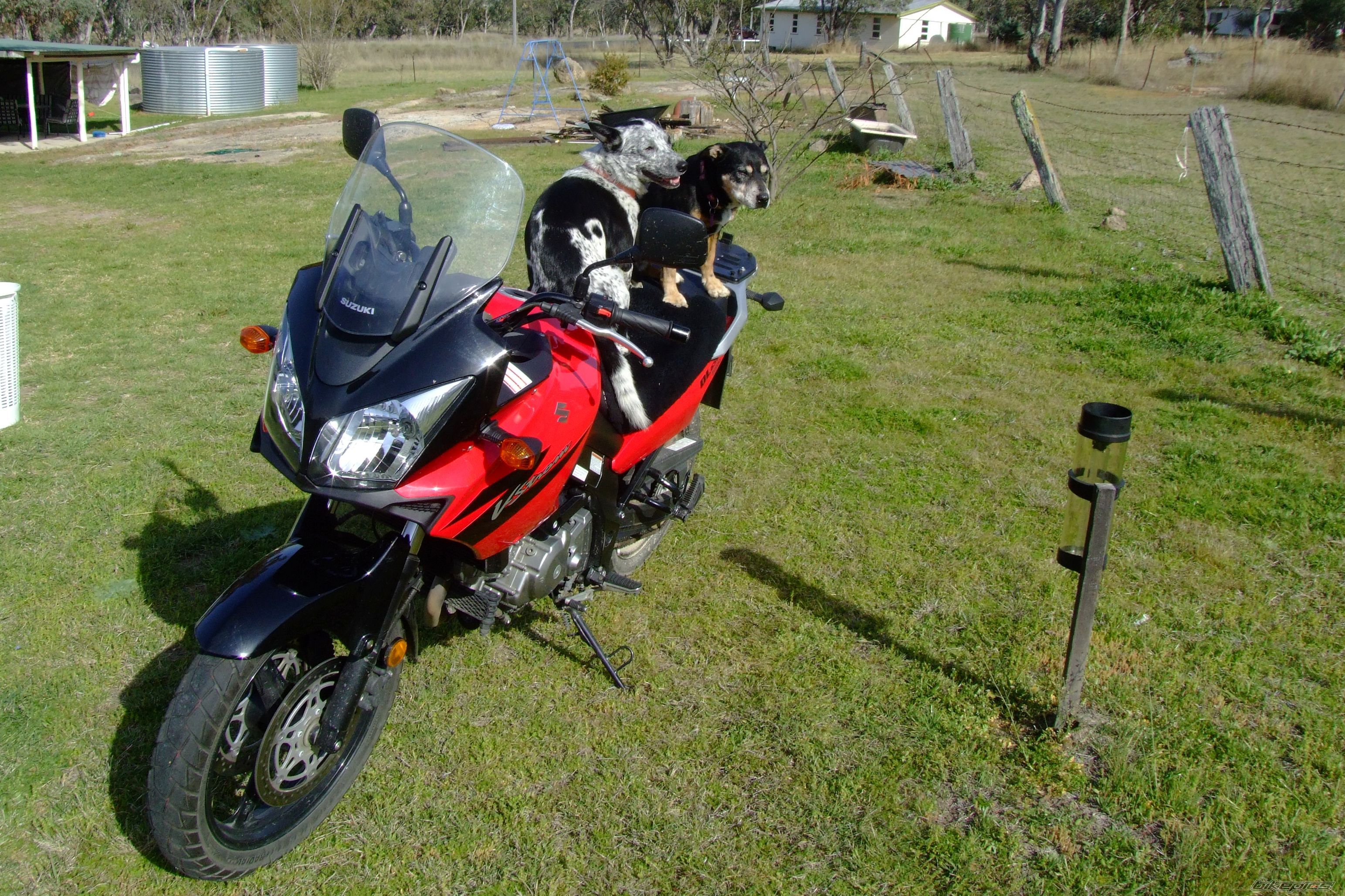Photo 685197
