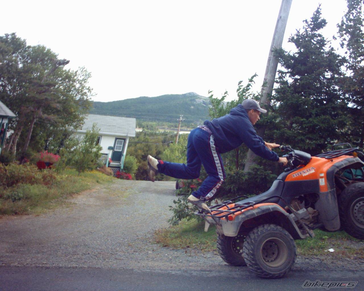 Photo 68543