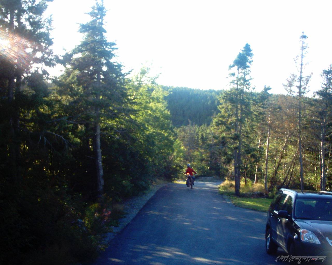 Photo 68548