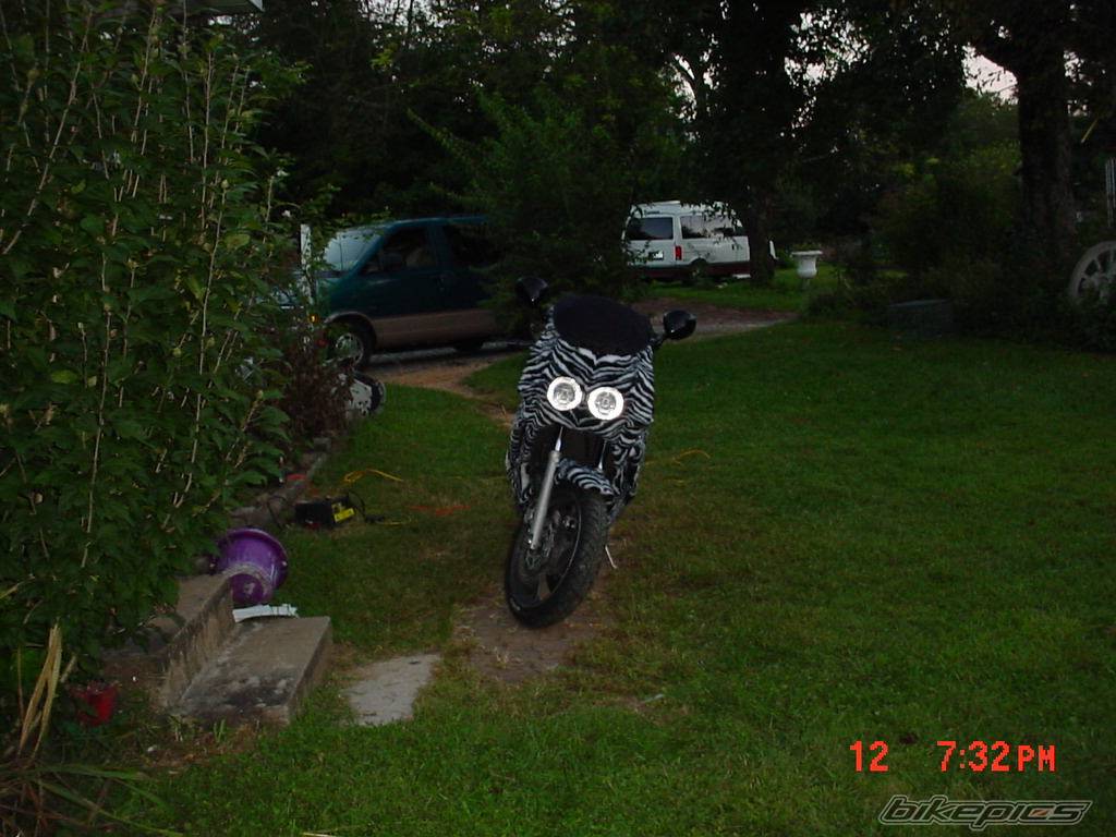Photo 68560