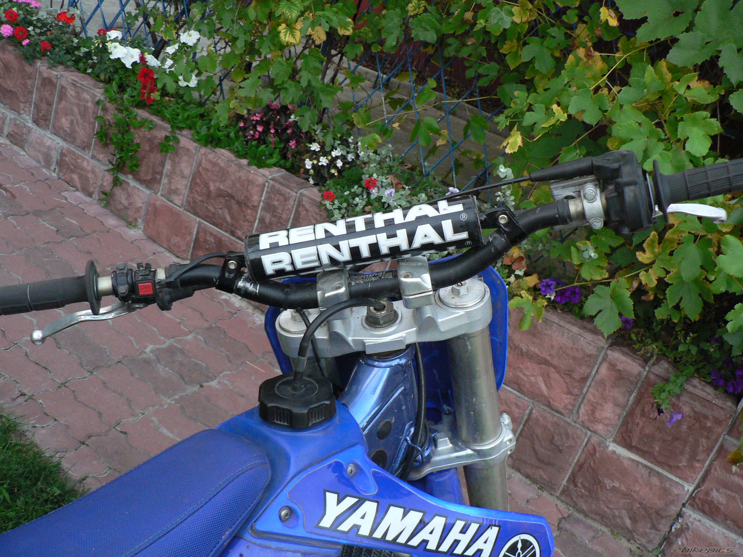 Photo 685782