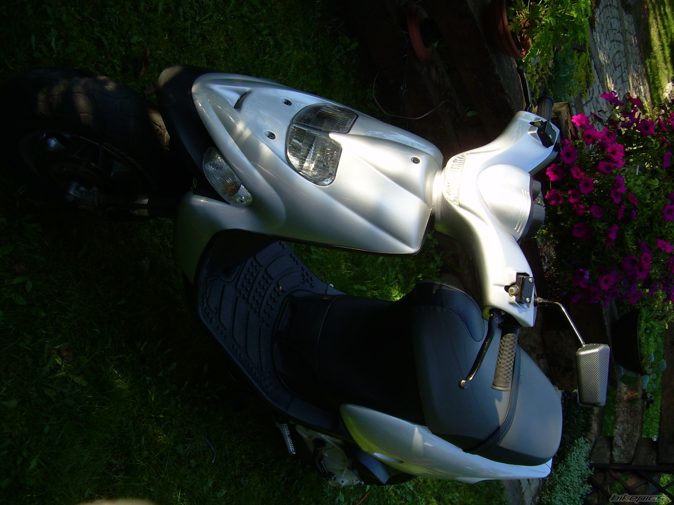 Photo 685842