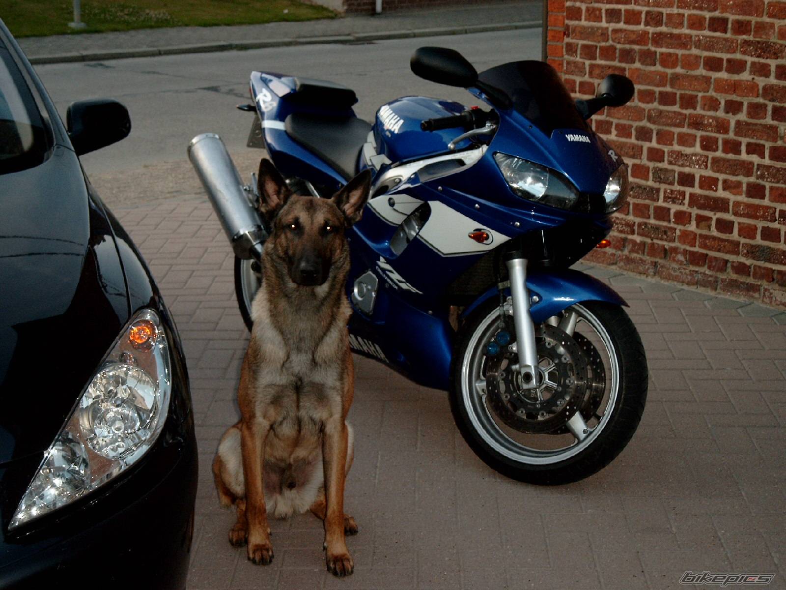 Bike Photo 68605