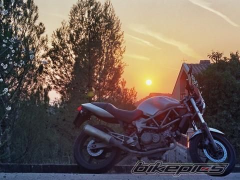 Photo 686424
