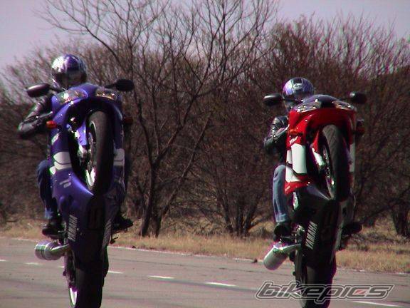 Photo 68731