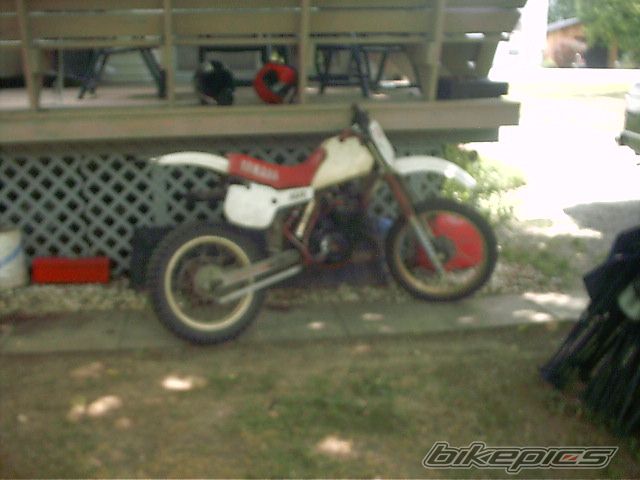 Bike Photo 687323