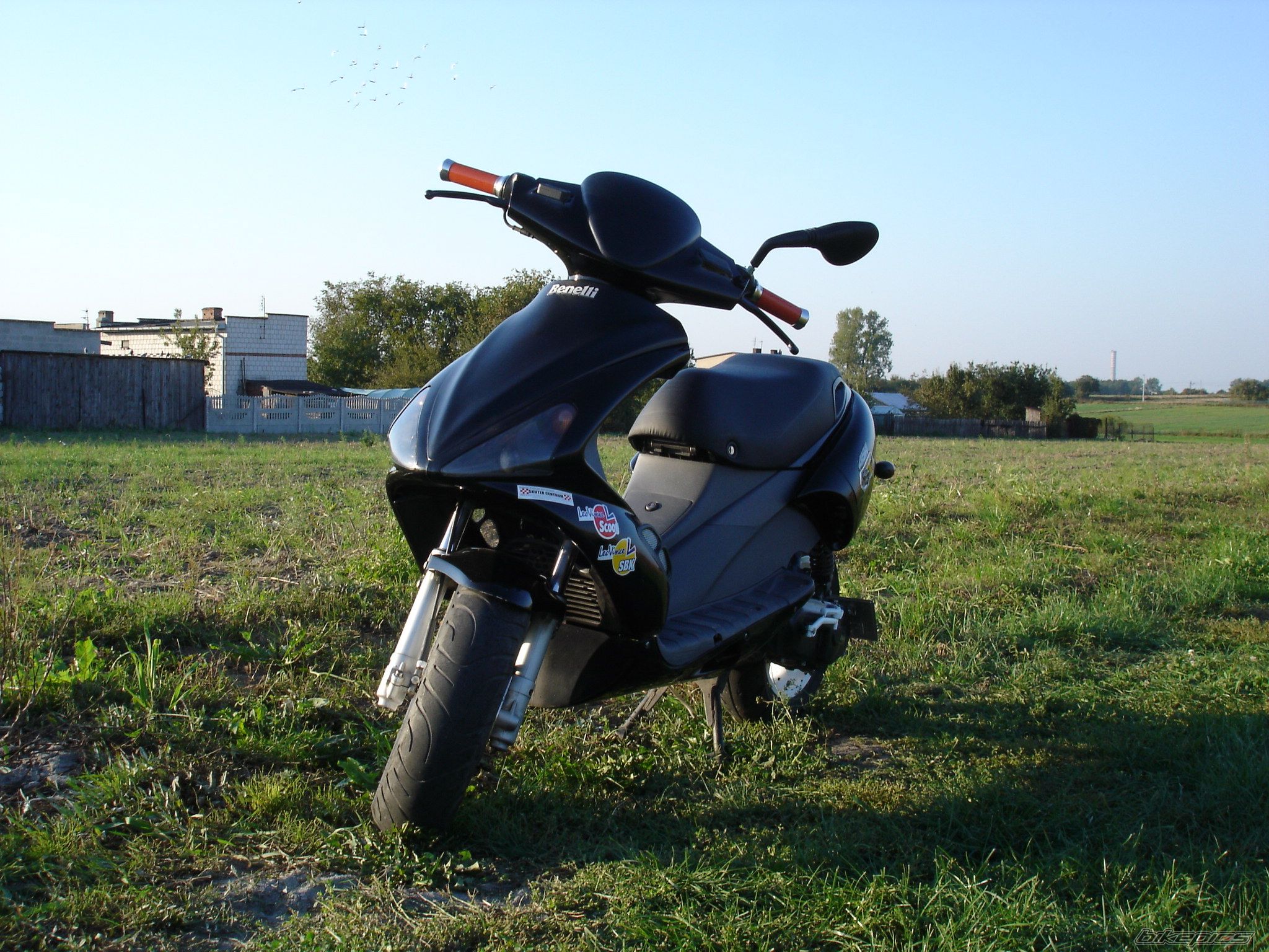 Photo 687417