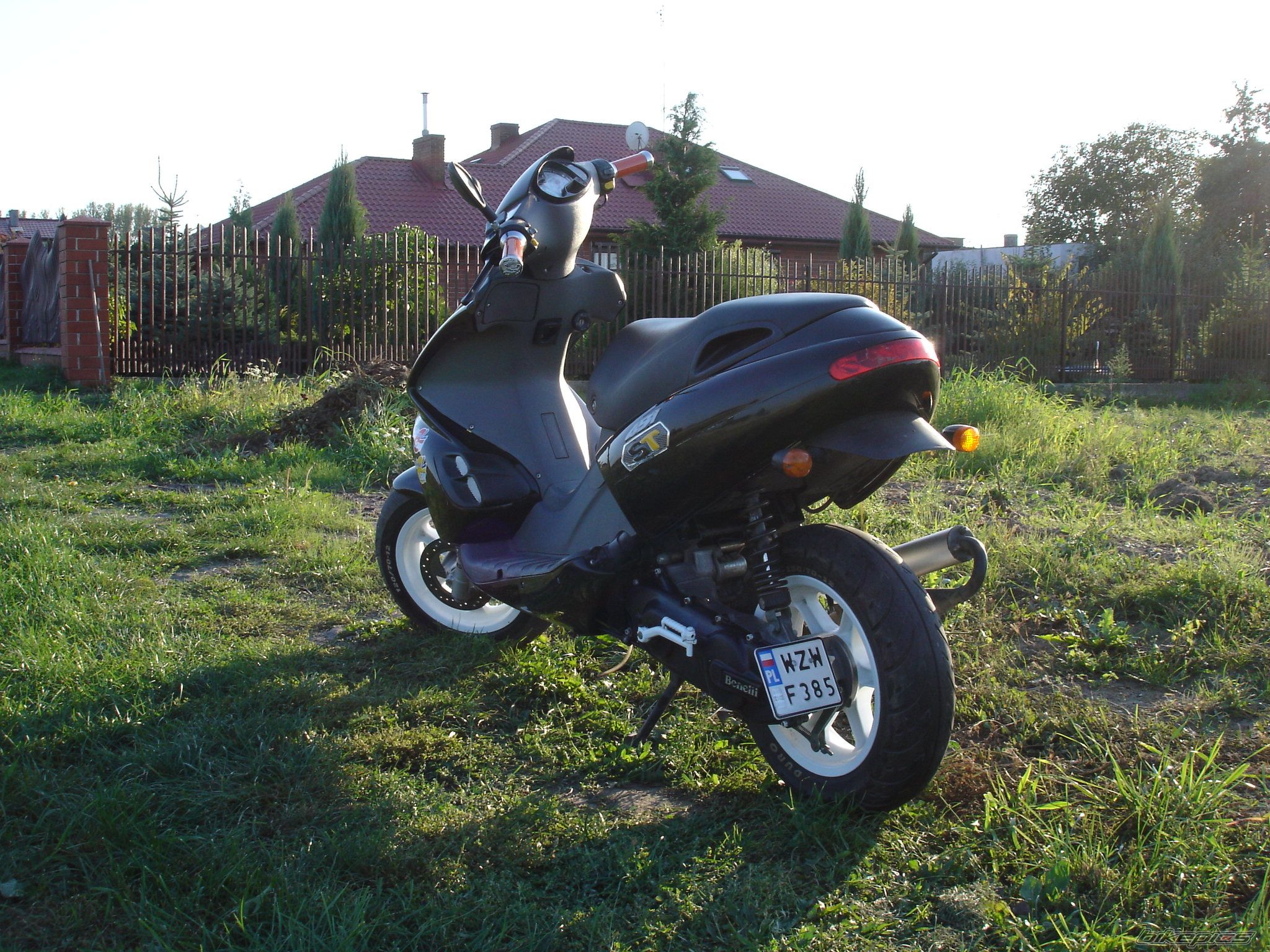 Photo 687425