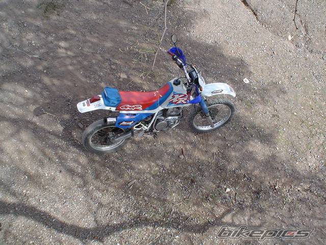 Photo 68751