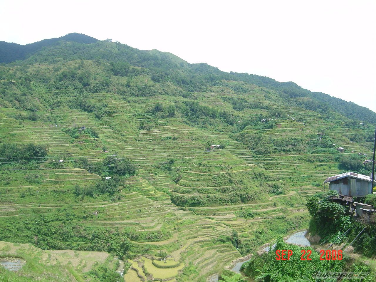 Photo 687574