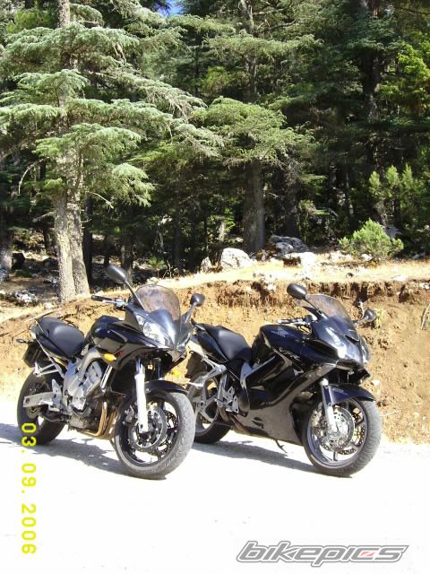 Bike Photo 688888