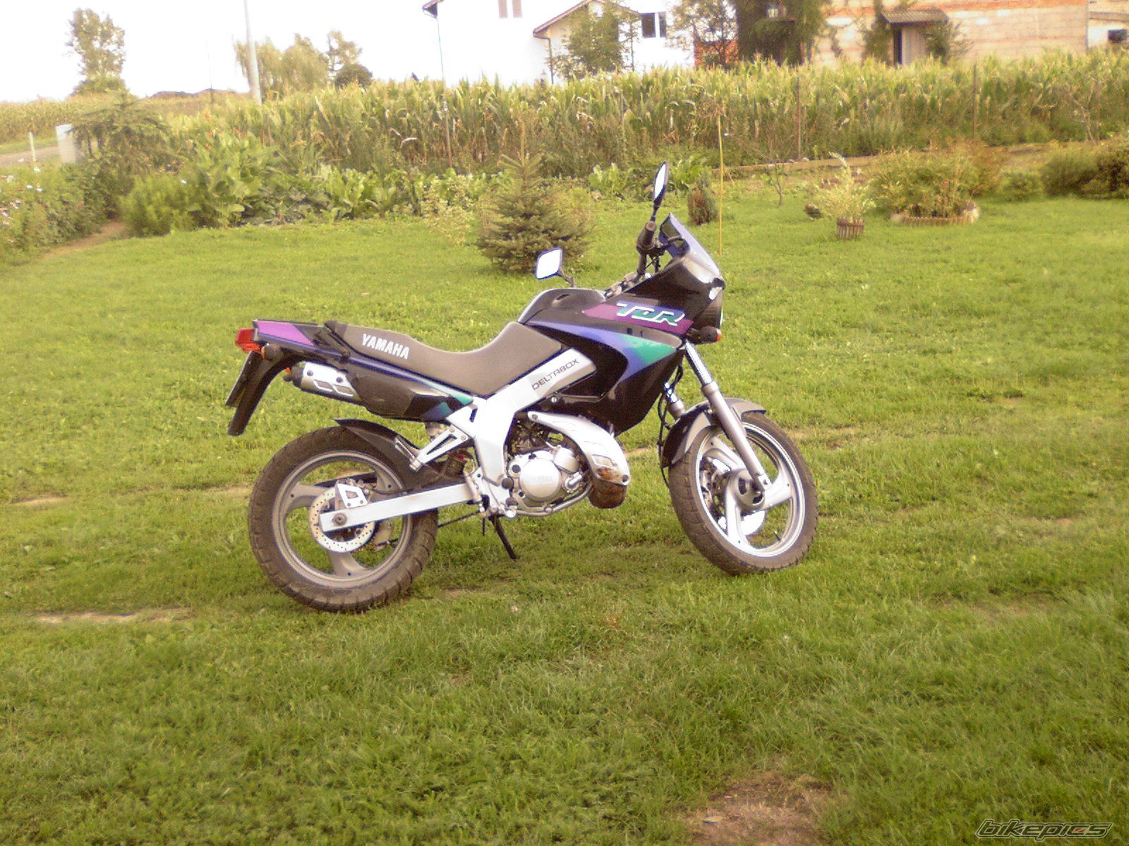 Photo 689325