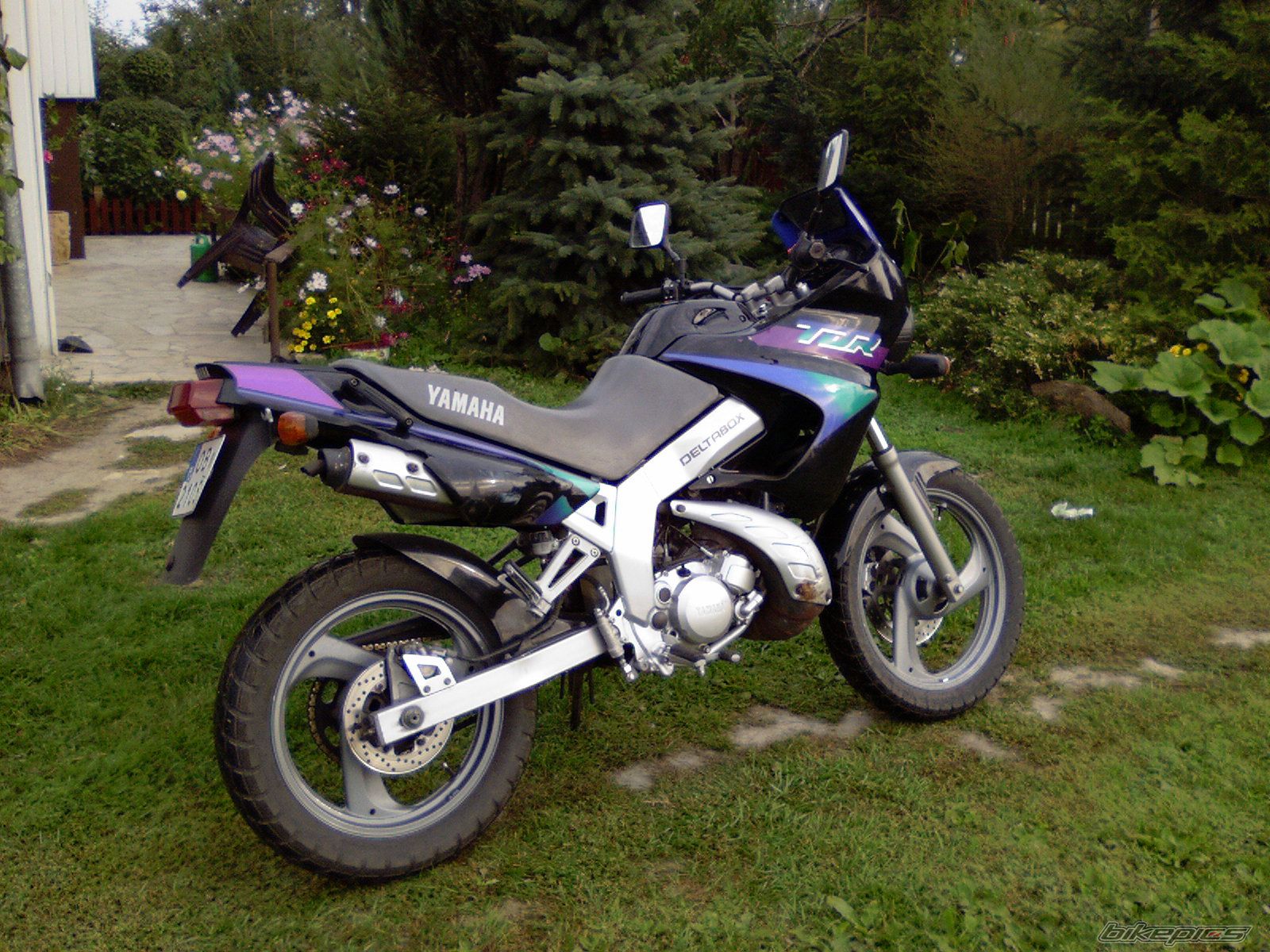 Photo 689330