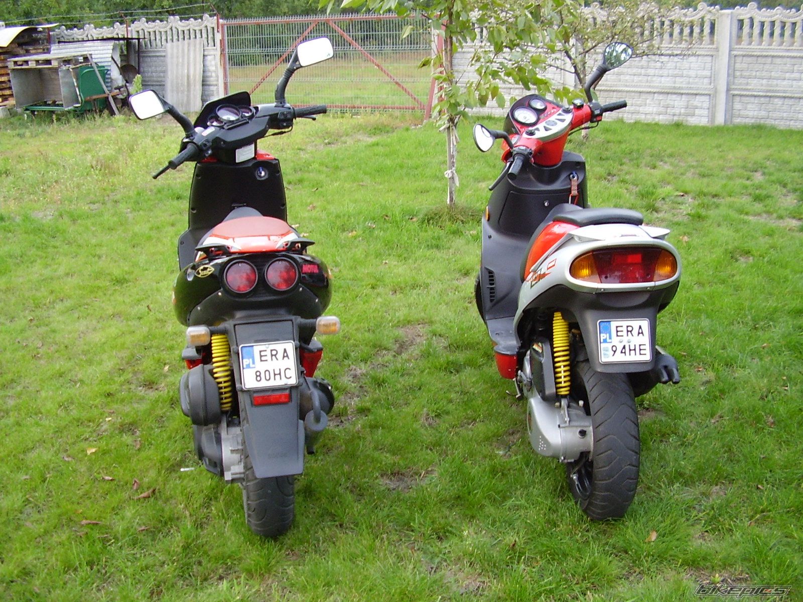 Photo 689710