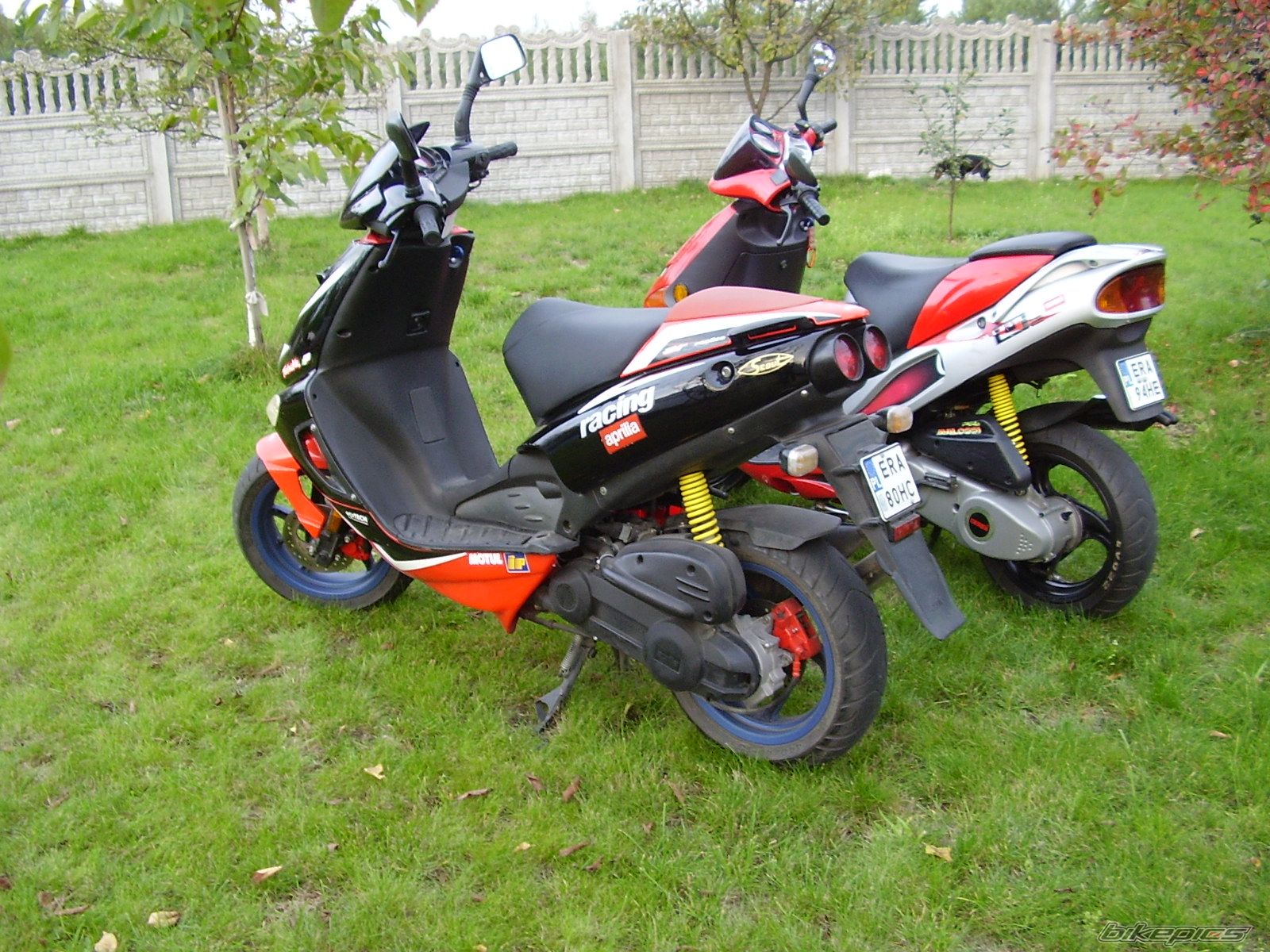 Photo 689713