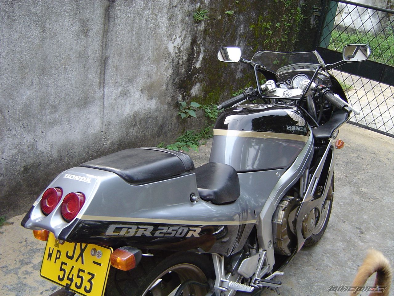Photo 689732
