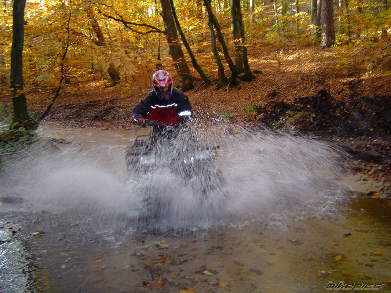 Bike Photo 689965