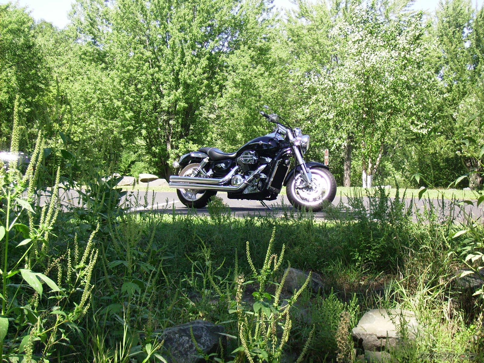 Photo 690032