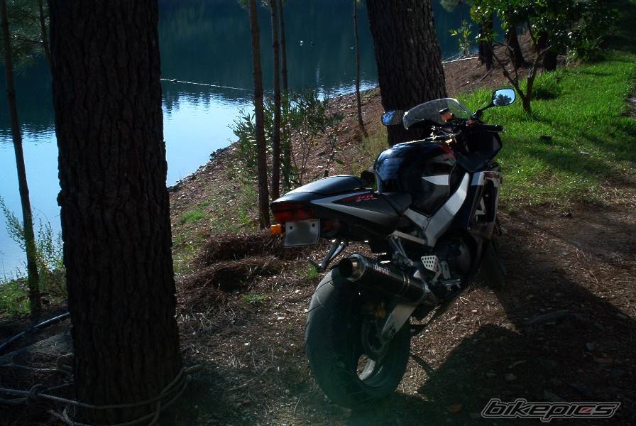 Photo 69029