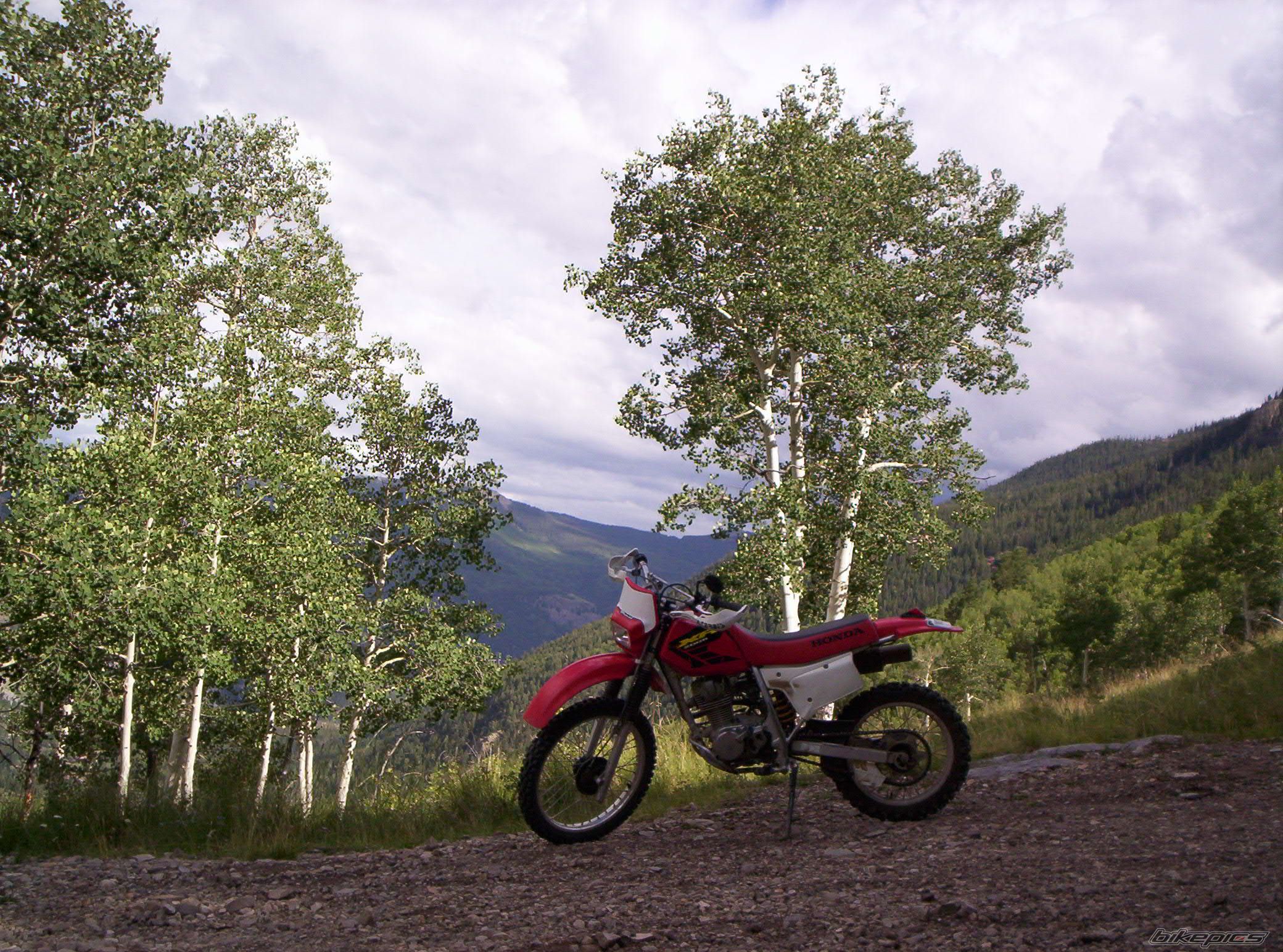 Bike Photo 690458